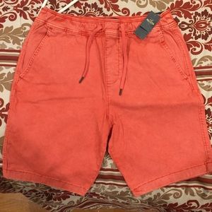 Hollister Skinny Jogger Shorts